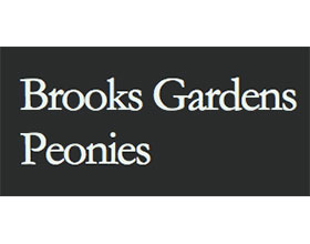 布鲁克斯花园牡丹 Brooks Gardens Peonies