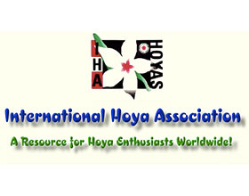 国际球兰协会 International Hoya Association