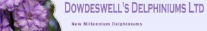 新西兰Dowdeswell飞燕草公司 Dowdeswell's Delphiniums Ltd