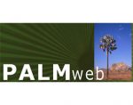 棕榈网络Palmweb