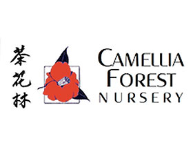 美国茶花林苗圃 Camellia Forest Nursery