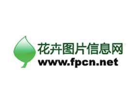 花卉图片网