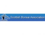 苏格兰盆景协会，Scottish Bonsai Association (SBA)