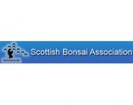 苏格兰盆景协会，Scottish Bonsai Association (SBA)