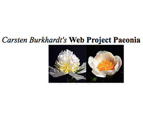 Carsten Burkhardt's牡丹网站 Carsten Burkhardt's Web Project Paeonia