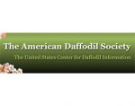 美国水仙花协会American Daffodil Society