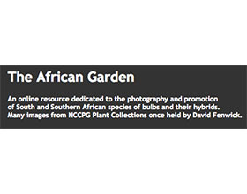 非洲花园 The African Garden
