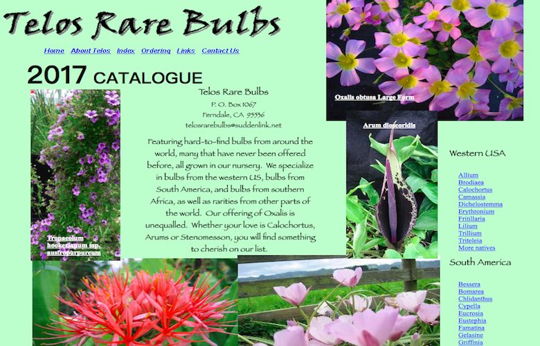 美国终极珍稀鳞茎苗圃 Telos Rare Bulbs