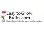 容易种植的鳞茎植物 Easy to Grow Bulbs