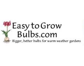 容易种植的鳞茎植物 Easy to Grow Bulbs