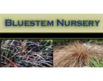 须芒草苗圃 Bluestem Nursery