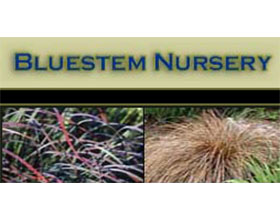 加拿大须芒草苗圃 Bluestem Nursery