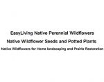 容易种植的野花 Easywildflowers