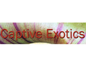 食虫植物在线苗圃 Captive Exotics online nursery