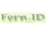 蕨类ID Fern ID