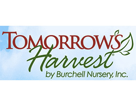 明天的收获-布柴尔苗圃, Tomorrow’s Harvest Burchell Nursery