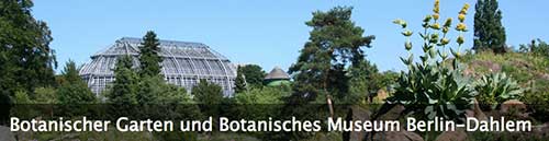 柏林植物园和植物博物馆，The Botanic Garden and Botanical Museum Berlin-Dahlem (BGBM)