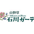 日本 石川花园 – 专注于雪割草、山野草及稀有野生植物销售
