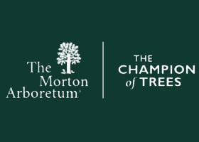 美国 莫顿树木园 THE MORTON ARBORETUM – 北美地区最全面的植物收藏机构之一