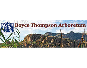 亚利桑那大学博伊斯汤普森植物园 The University of Arizona College of Agriculture and Life Sciences Boyce Thompson Arboretum