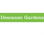 德斯坎索花园 Descanso Gardens
