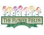 花卉田野 The Flower Fields