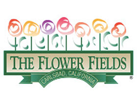 美国花卉田野 The Flower Fields