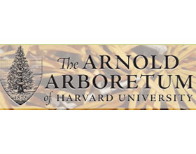 哈佛大学阿诺德植物园 Arnold Arboretum of Harvard University