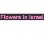 以色列的花卉 Flowers in Israel