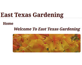 东德克萨斯园艺 East Texas Gardening
