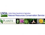 植物数据库 PLANTS Database