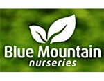 蓝色山脉苗圃， Blue Mountain Nurseries