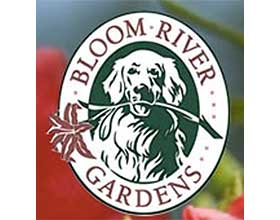 布鲁姆河花园 ，Bloom River Gardens