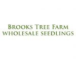 布鲁克斯树木农场， Brooks Tree Farm