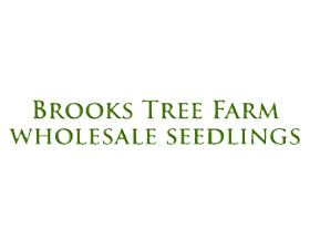 美国Brooks树木农场 Brooks Tree Farm