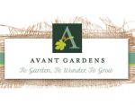 先锋派花园 ，Avant Gardens