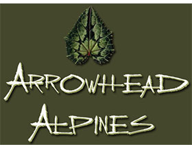 箭头高山植物苗圃, Arrowhead Alpines