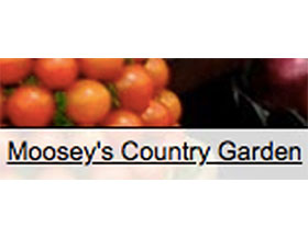 新西兰Mooseys乡村花园 Mooseys Country Garden