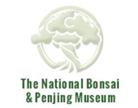 美国国家盆景基金会， The National Bonsai Foundation