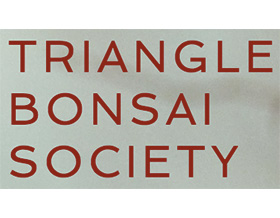 美国三角盆景协会 Triangle Bonsai Society