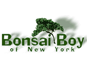 盆景男孩， Bonsai Boy