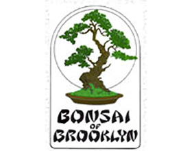 美国Brooklyn盆景 Bonsai of Brooklyn