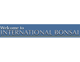 美国国际盆景园 International Bonsai Arboretum