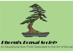 美国凤凰盆景协会 PHOENIX BONSAI SOCIETY