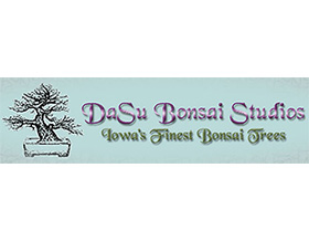 DaSu盆景工作室, DaSu Bonsai Studios