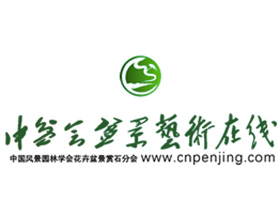 中国盆景协会盆景艺术在线