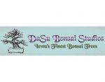 DaSu盆景工作室， DaSu Bonsai Studios