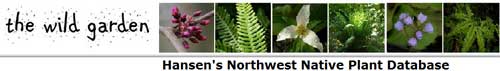 美国Hansen西北乡土植物数据库 Hansen Northwest Native Plant Database