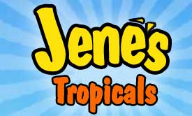 美国Jene热带植物苗圃 Jene's Tropicals