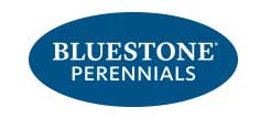 美国蓝石头多年生植物有限公司 Bluestone Perennials